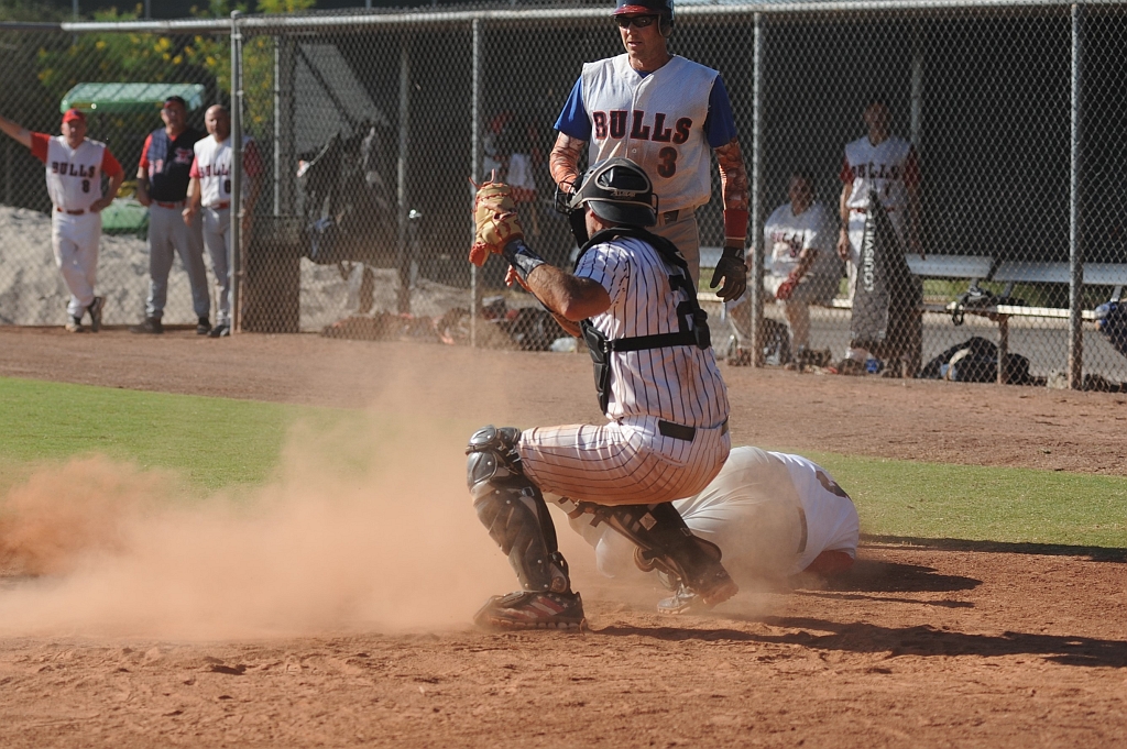 Seals_2019-10-09 (370).JPG - (c)2010 DeVetter